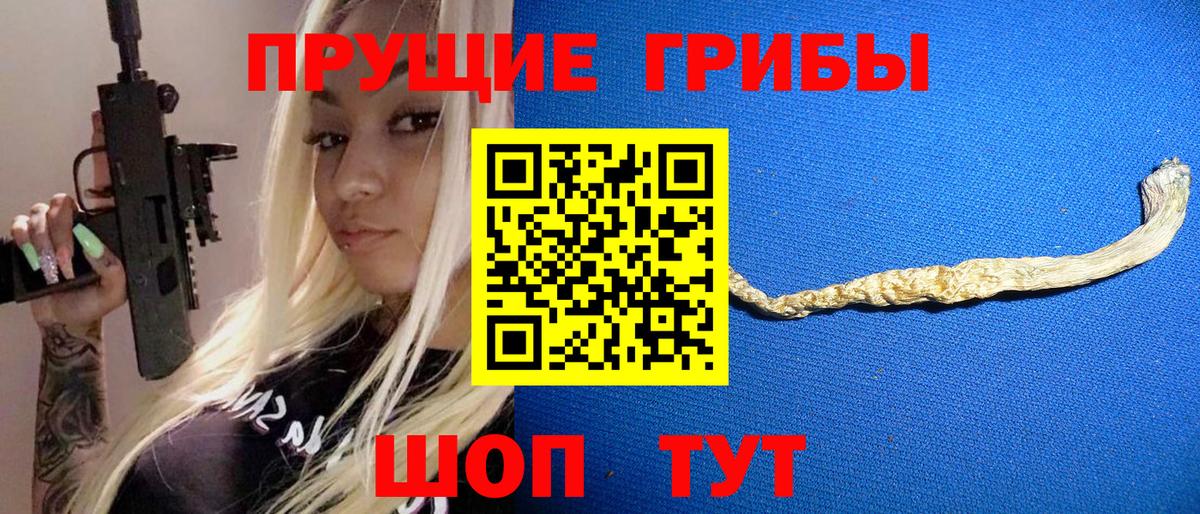 Галлюциногенные грибы Psilocybe Можга