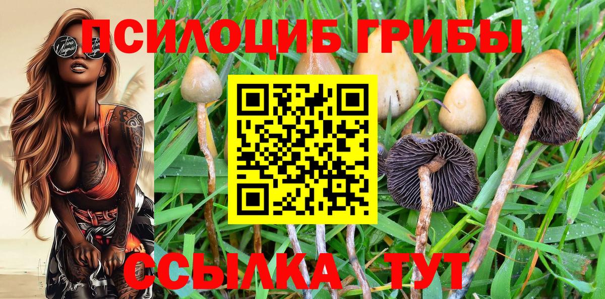 Псилоцибиновые грибы Psilocybine cubensis  Вход с VPN  Можга 